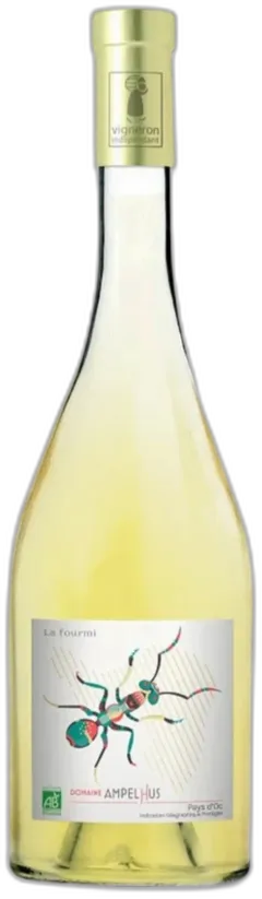 photo du vin Fourmi 2024