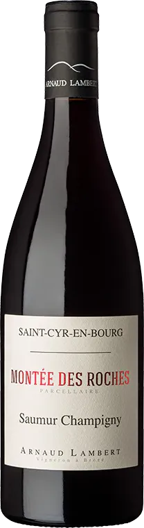 aperçu du vin Saumur-Champigny Montée des Roches 2021