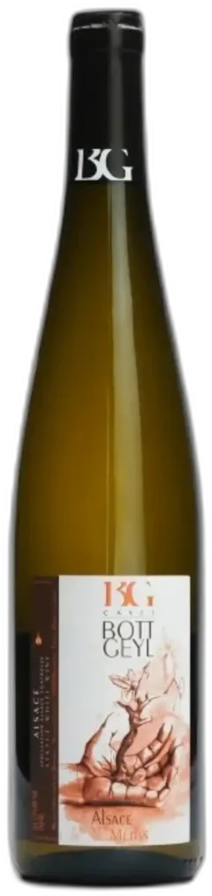 illustration du vin Domaine Bott Geyl, Gewurztraminer, les Elements