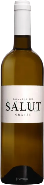 vue du vin Domaine du Salut 2023
