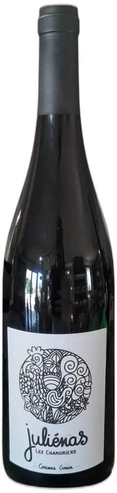 image du vin Juliénas les Chanorier 2023