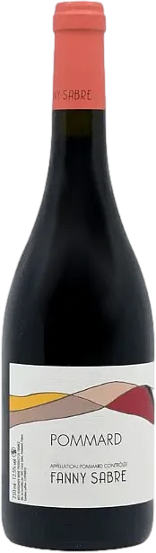 vue du vin Pommard 2023