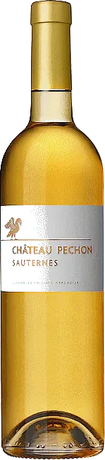 vue du vin Château Péchon 2018