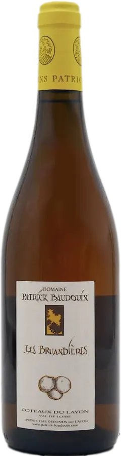 photo du vin les Bruandières