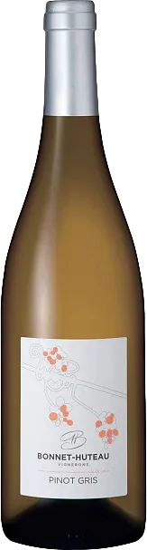 vue du vin Pinot Gris Bonnet-Huteau 2024