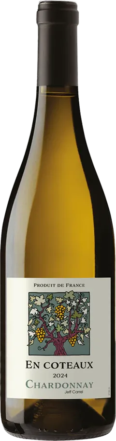 photo du vin en Coteaux Chardonnay 2024