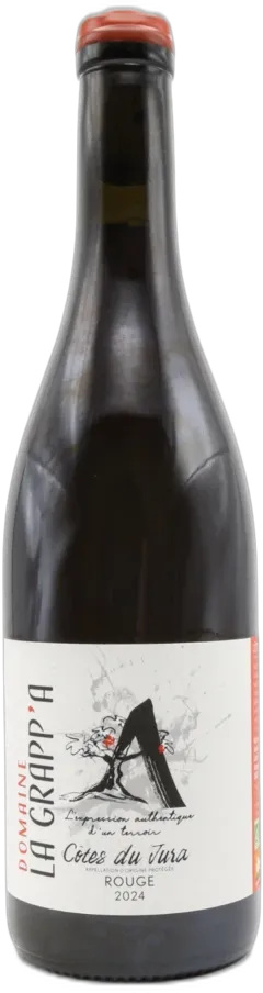 vue du vin Côtes du Jura 2024