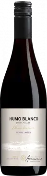 image du vin Humo Blanco Pinot Noir 2022