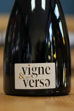 vue du vin Château de Champ-Renard Vigne&Versa 2020