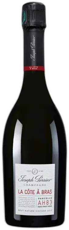 illustration du vin la Côte à Bras Blanc de Noirs Brut Nature Vintage