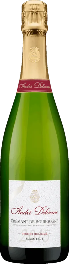 illustration du vin Terroir Millésimé Blanc Brut 2015