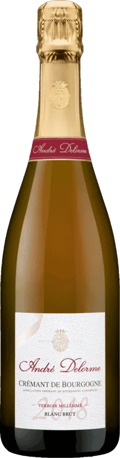 vue du vin Terroir Millésimé Rosé Brut