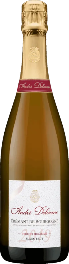 vue du vin Terroir Millésimé Rosé Brut