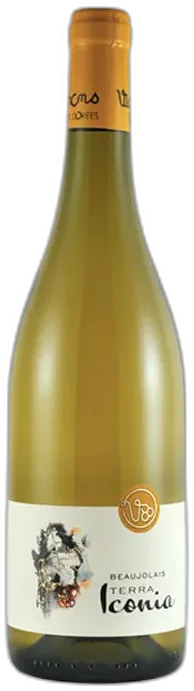 photo du vin Vin Blanc Terra Iconia Beaujolais 2024