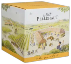 photo du vin Bib Fruité le Petit Pellehaut