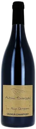 photo du vin Saumur-Champigny "la Haye Dampierre" Sanzay 2020