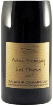 photo du vin Saumur-Champigny "les Poyeux" Sanzay 2020