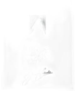 photo du vin Cornas "la Louvée" jl Colombo