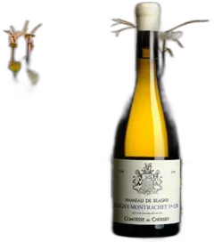 illustration du vin Puligny-Montrachet Cru "Hameau de Blagny" 2016