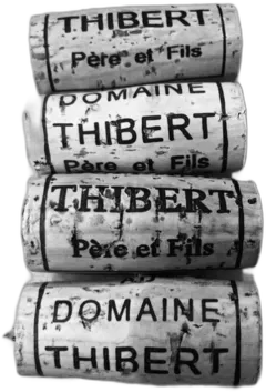 vue du vin Macon Fuissé "Bois de la Croix" 2019