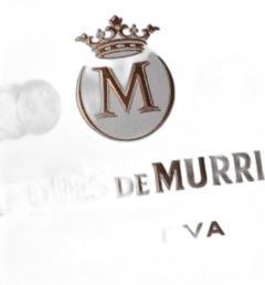 photo du vin Castillo Ygay Gran Reserva Especial