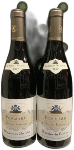 image du vin Pommard 2023 Clos des Ursulines, Domaine du Pavillon, Albert Bichot Bourgogne