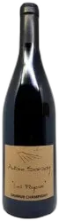 image du vin Domaine Antoine Sanzay "les Poyeux" Saumur Champigny Rouge Saumur-Champigny Bio