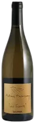 image du vin Domaine Antoine Sanzay "les Salles Martin" Saumur Champigny Blanc Saumur-Champigny Bio