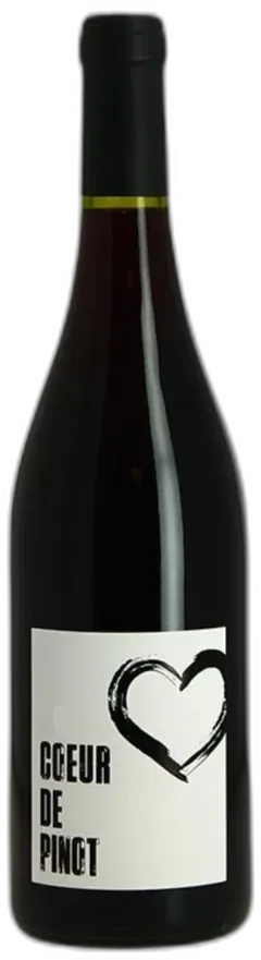 vue du vin Vin de France Rouge Coeur de Pinot Sylvain Rozier 2024