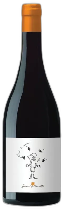 illustration du vin Vin de France Rouge Cool de Source Chateau Beaupre 2023