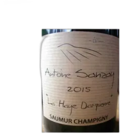 photo du vin Saumur Champigny la Haye Dampierre Antoine Sanzay 2015