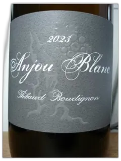 illustration du vin Anjou Blanc de Thibaud Boudignon 2023