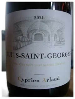 illustration du vin Nuits Saint Georges Cyprien Arlaud 2021