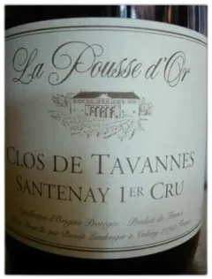 vue du vin Santenay 1er Crû Clos Tavannes Pousse d’or 2022