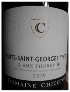 vue du vin Nuits Saint Georges 1er Cru Aux Thorey Chicotot 2019