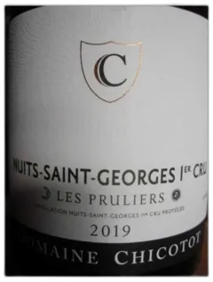 vue du vin Nuits Saint Georges 1er Cru les Pruliers Chicotot 2019