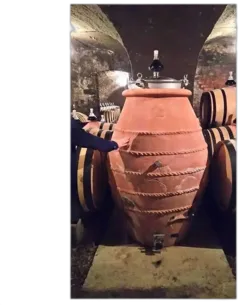 photo du vin Volnay 1er Crû en Caillerets Amphore Pousse d’or 2022
