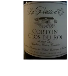 vue du vin Corton Clos du Roi 2010 Grand Crû la Pousse d’or