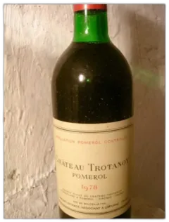 vue du vin Chateau Trotanoy