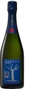 vue du vin Champagne Henri Giraud Esprit Nature