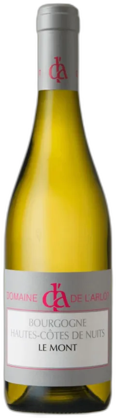 vue du vin Domaine de l’Arlot Hautes Côte de Nuits le Mont Blanc 2021