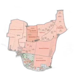 photo du vin Affiche Vosne-Romanée Grand-Cru