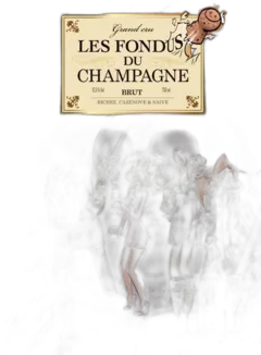 photos du vin les Fondus du Vin de Champagne