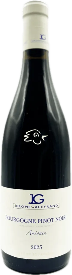 vue du vin Bourgogne Pinot Noir Antonin