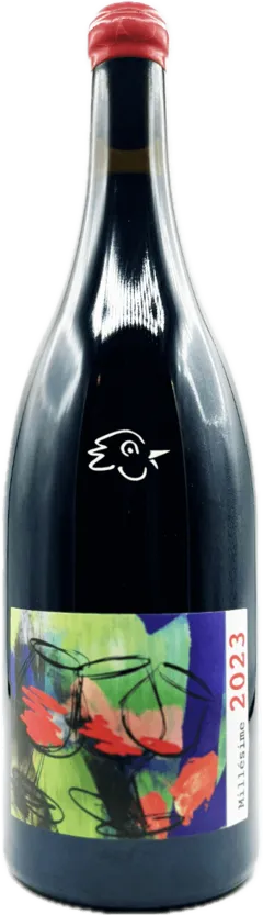 capture du vin Beaujolais Villages 2022 Magnum