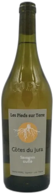 illustration du vin Côtes du Jura Blanc "Savagnin Ouillé" 2022 Domaine les Pieds Sur Terre Valentin Morel