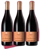 vue du vin Crozes Hermitage Rouge "Cuvée Particulière" Domaine des Rémizières