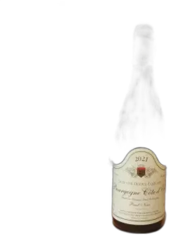 vue du vin Bourgogne Côte d’or