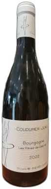 capture du vin Bourgogne les Rêves de Gabriel