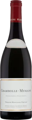 aperçu du vin Chambolle-Musigny 2022